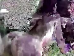 Outdoor Dutch Fantasy From The Netherlands With Love