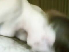 Blowjobassistant info 514 Girlriend has loud orgasm in 69 position