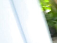 Bruno is the right stud for the job.